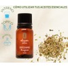 OLEUM VITAE 3x 2 Aceite Esencial De Orégano 100% Puro