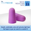 Flents Protechs Foam Ear Plugs, 10 Pair with Case for