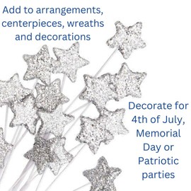 Pack of 6 Silver Glittered Star Picks - Sparkly Star Stems for Christmas, 4th of July, St Patrick's Day, Mardi Gras, Patriotic, Flower Arrangements, Centerpieces, Wreaths, and Decorations (16")