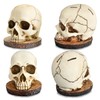WALSIO Life Size Skull Knife Holder Resin Skull Shaped Knife