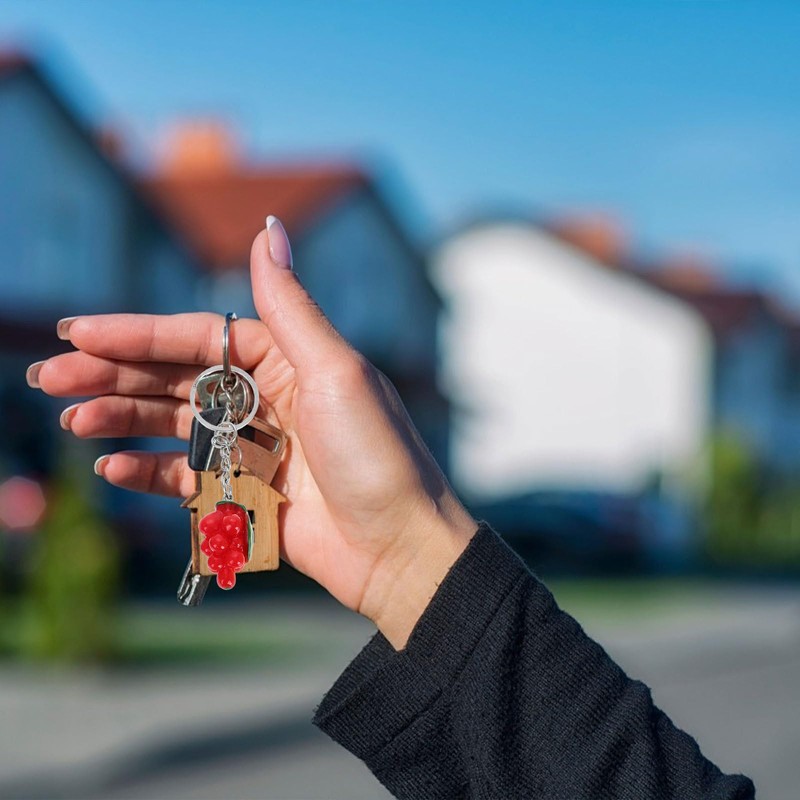 TENDYCOCO Cute Small 10 Piece Fruit Key Chain Key Ring
