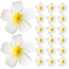 Pack of 20 Hawaiian Flower Hair Clips, Artificial Plumeria Hair