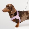 BuddyArmor Ultra Comfortable Dog Harness Adjustable Soft Dog Vest, Alloy