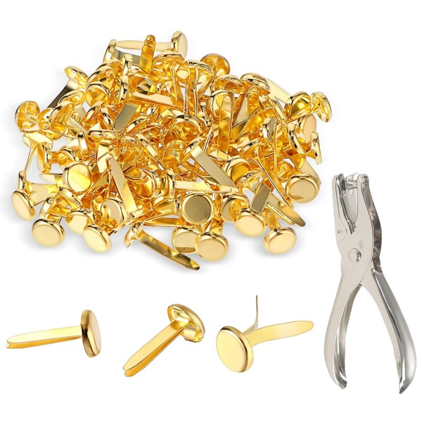 QEEROYO Pack of 100 Mini Brads Pattern Bag Clips, Scrapbooking
