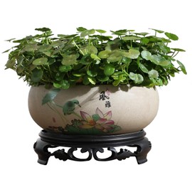 TOIVO Lotus Bowl Planter, Coarse Pottery Water Lily Flower Pot with Plastic Base, 7.8 inches (B-3)