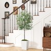 ESPIDOO 6FT Artificial Olive Tree: Modern Silk Plant with White