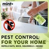 Mint+ Rodent Repellent Spray, Mouse & Rat Repellent for Indoor
