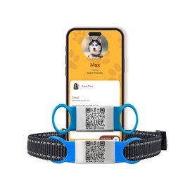 Smart Slide-On QR Code Pet Tag – Silent Dog & Cat ID Tag with Laser Engraving – Stainless Steel & Silicone – No App Needed – Custom Pet Profile – Fits Most Collars (Blue, Large)