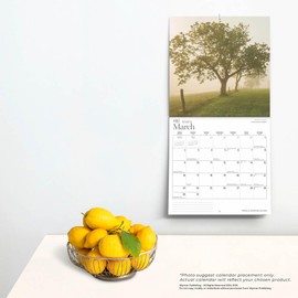 Prince Edward Island | 2025 12 x 24 Inch Monthly Square Wall Calendar | Wyman Publishing | Canadian Regional Travel