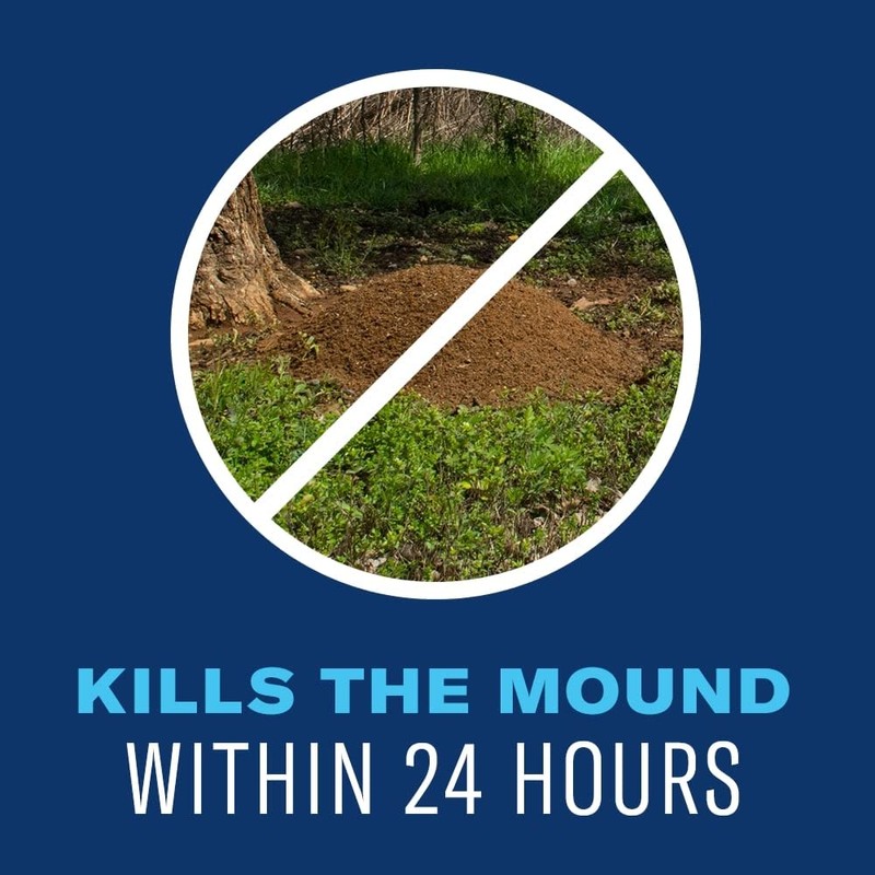 BioAdvanced 24 Hour Lawn Insect & Fire Ant Killer, Granules,