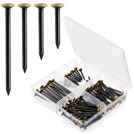 Enhon 120 Picture Nails Set (20/25/30/40 mm) - Stainless Steel Nails with Gold-Coloured Head for Concrete, Brick and Wood - No Drilling - Protects the Wall - Includes Practical 4-Compartment Box