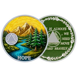 Journey of Life Sobriety Coin - AA Coin - Sobriety Gifts for Women and Men - Sober Gifts Alcoholics Anonymous Medallion