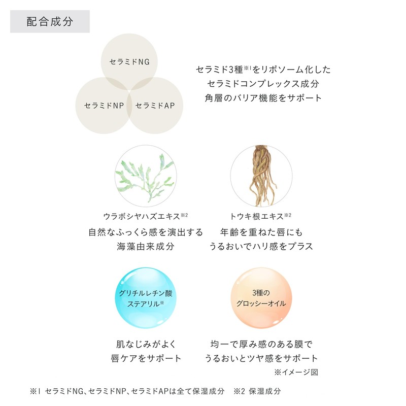 DECENCIA Repair Lip Plumper, Sample Included, For Sensitive Skin, Lip