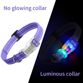 DOGlinsen Rechargeable LED Dog Collar Suit for Small Large Dog, Dazzling Glow-in-The-Dark Light Collar, Prevent Traffic Accident Anti-Stampede Pet Supplies Glowing Collar (Purple)