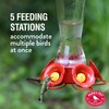 Perky-Pet Favored Pinch-Waist Glass Hummingbird Feeder with Built-in Ant Moat