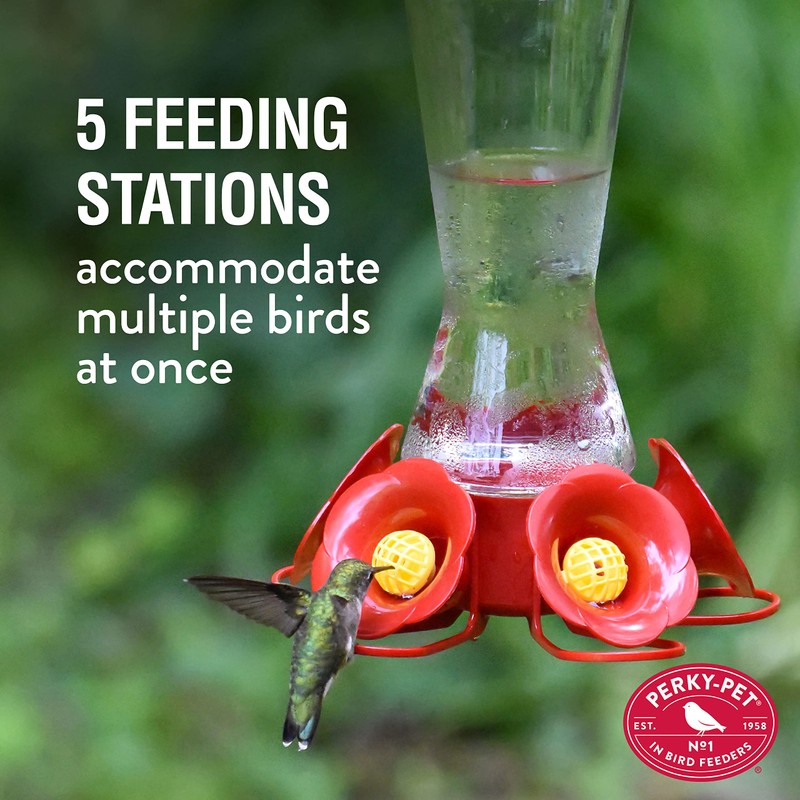 Perky-Pet Favored Pinch-Waist Glass Hummingbird Feeder with Built-in Ant Moat