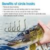 Circle Fishing Hooks for Catfish Hooks Saltwater 50pcs of 7/0