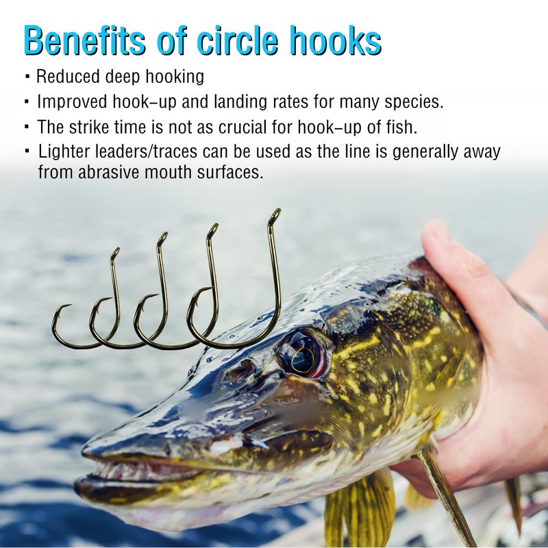 Circle Fishing Hooks for Catfish Hooks Saltwater 50pcs of 7/0