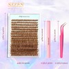Curl Wispy Individual False Eyelash With Lash & Tweezers Kit,