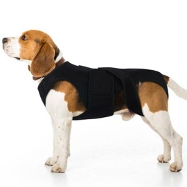 LeleTail Back Brace for Small Dogs - Adjustable Dog Spine Support Vest with 5 Support Rods, Breathable Fabric for Post-Op Comfort & Hip Support for Small Pets, Black XS