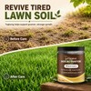 2Pcs Yegbong Soil Activator, Soil Pro Activator, Nauticos SoilActivator