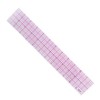 HAND 10ths Graph Ruler W66-12"