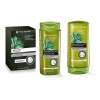 Yves Rocher Kit Anticaida Ampolletas Shampoo Acondicionador