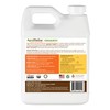 AgroThrive Fruit and Flower Organic Liquid Fertilizer - 3-3-5 NPK