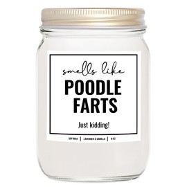 YouNique Designs Smells Like Poodle Farts Candle 8oz - Poodle Gifts for Poodle Lovers - Dog Farts Candle Poodle Gifts for Women, Men - Funny Poodle Dog Gifts, Poodle Décor (Lavender & Vanilla)