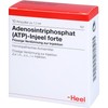 ATP Injeel Forte Ampoules Pack of 10