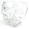 Ebros Crystal Cave Skeleton Skull Glass Bowl 10 Ounces Or