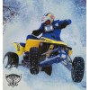 SUZUKI LT500R LT500 500 QUAD RACER QUADZILLA CYLINDER NUT STUD,
