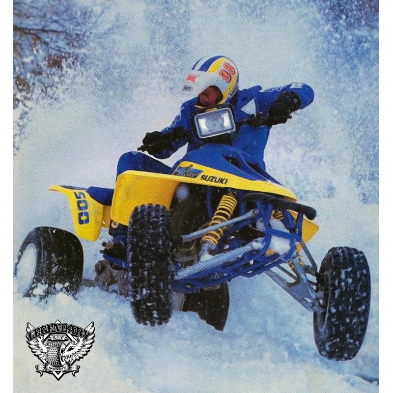 SUZUKI LT500R LT500 500 QUAD RACER QUADZILLA CYLINDER NUT STUD,