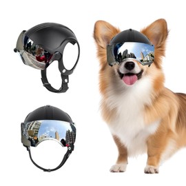 BillionChains Dog Helmet for Small Breed Head Circumstance 13.6 ''-14.6 '', Not Suitable for Teacup Dog