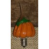 On The Bright Side - Scented Specialty Bulb - Pumpkin