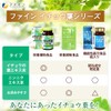 ファイン(FINE JAPAN) ファイン イチョウ葉 イチョウの葉エキス粒 400粒入 無臭ニンニクエキス ビタミンB1 B2 B6