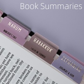 UPAFEXXI-Laminated Bible Tabs with Book Summaries(Gold Foil Embossed Lettering), Bible Tabs for Women and Men, Reposition Large Print Stickers, Easy to Read, 80Chapters Labels for Easy Navigation