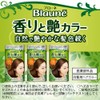 Kao Blaune Fragrant And Gloss Color Cream 7 Black Dark