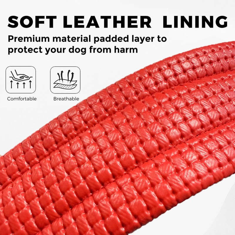 Head Strap Dog Muzzle Prevent from Taking Off by Paws