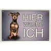 Hier wache ich Prager Rattler Dog 20 x 30 cm Tin Sign 1551