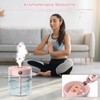 2L Mist Humidifier Pink Mute USB Night Lamp Function Dual