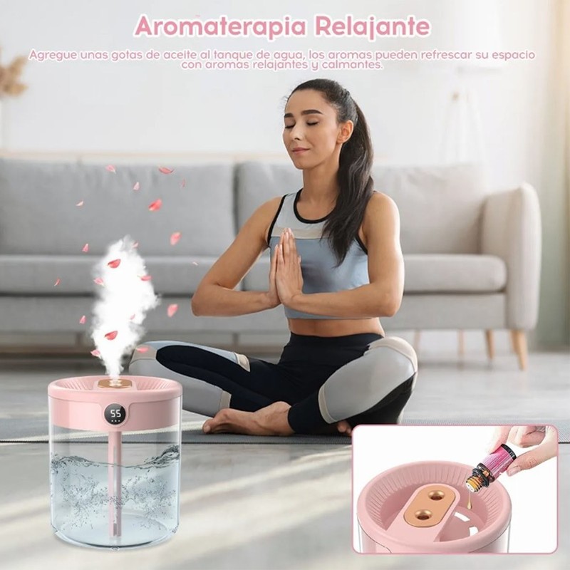 2L Mist Humidifier Pink Mute USB Night Lamp Function Dual