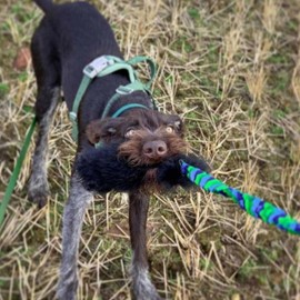 Tug-E-Nuff WondaBaa Bungee Tug Toy for Dogs for Interactive Training & Play | Soft and Responsibly-Sourced Sheepskin Bite Area | For Dogs of All Ages | Durable Design in 3 Colours | Size 23 x 3 inches