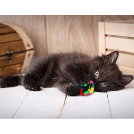 CanCor Original Crinkle Ball (Mini) Crinkle Sounds Cat Toy Mylar Non-Use 2 Pieces x 2 Diameter 1.0 inches (2.5 cm) Made in Canada