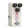 Pogolab Delay Pedal, Delay Pedals for Electric Guitar, Analog Delay