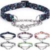 Bbmmayy Martingale Collar, Training Dog Collar, Stainless Steel Chain Pet