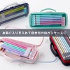 Raymay Fujii FSB1187M Pencil Case, Top Liner, Clear, Green