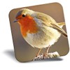 Destination Vinyl ltd Fridge Magnet - Robin Redbreast Bird Animals