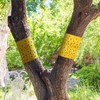 Kittmip 4 Rolls 260ft Lantern Fly Tree Tape Outdoor Adhesive