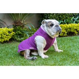 Suéter Personalizable con el Nombre de su Perro, Abrigador, Suave, Excelente Calidad (Diferentes Tamaños y Colores) (0, Morado)